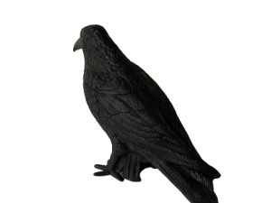 Black Plastic Crow